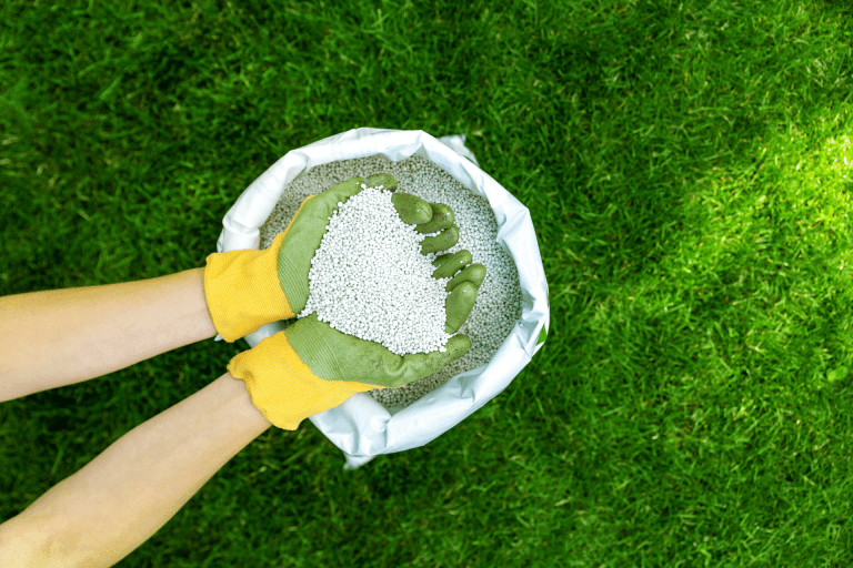 Growing Green: Mastering the Art of Lawn Fertilization