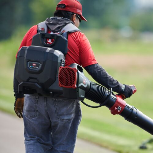 Backpack and leaf Blower