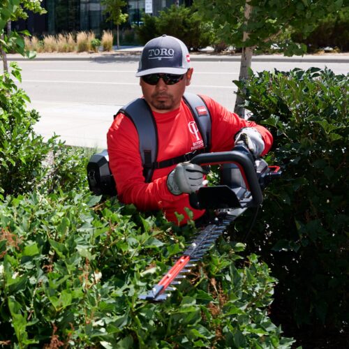 Hedge Trimmer