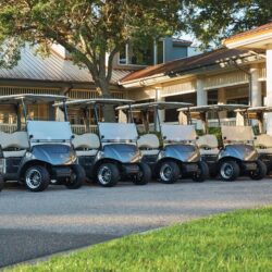 Yamaha Fleet Picture of multiple golf Carts