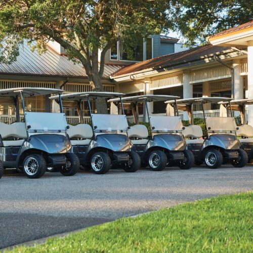 Yamaha Fleet Picture of multiple golf Carts