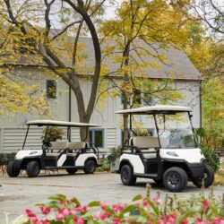 Toro Vista 4-seater and 6-seater golf carts with beige seats and white roofs, parked in front of a house surrounded by trees with autumn leaves and flowers