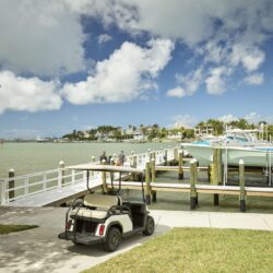 Toro Vista 4-seater golf cart parked at a marina, with beige seats and a white roof, boats docked in the background, and a scenic waterfront setting