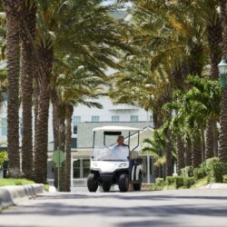 Toro Vista 4-seater golf cart driven down a palm-lined street, featuring beige seats and a white roof, captured on a sunny day