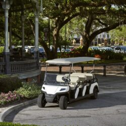 Toro Vista 8-seater golf cart with beige seats and a white roof, parked near a gazebo in a scenic park surrounded by trees and flowers