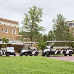 A family of Toro Vista golf carts, including 2-seater, 4-seater, and 6-seater models, parked outdoors near a brick building and lush greenery