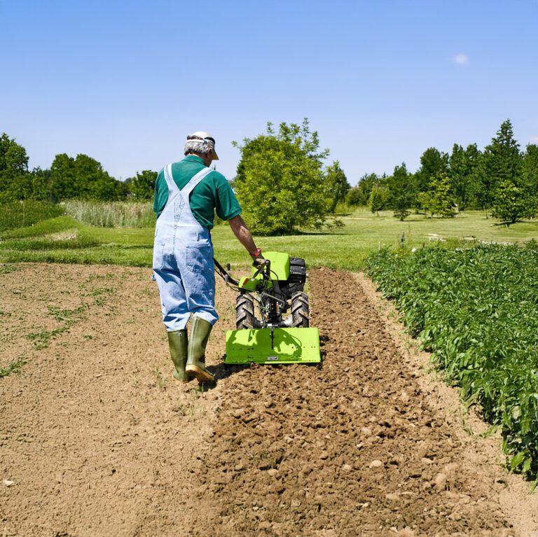 Farmer man in blue overalls pushing a walk behind tractor on untilled soil on a sunny day in a farm based garden