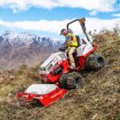 HQ682_Willow-Tree_149-edit remarkables-extended_web