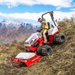 HQ682_Willow-Tree_149-edit remarkables-extended_web