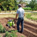 Rotary Tiller in Garden