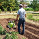 Rotary Tiller in Garden