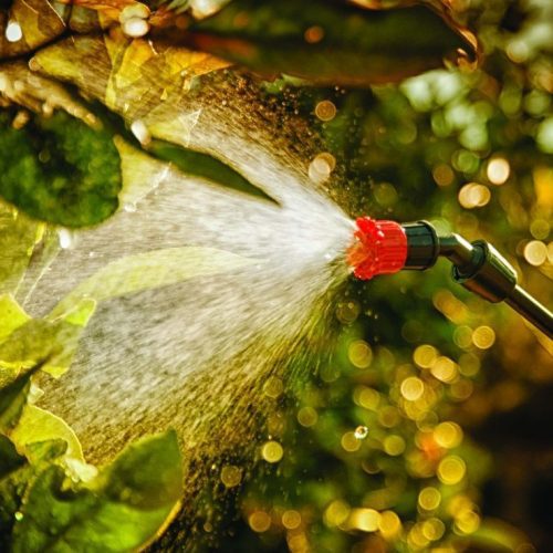 Pulmic Pegasus 15 Electri hand sprayer applying spray to fruit trees