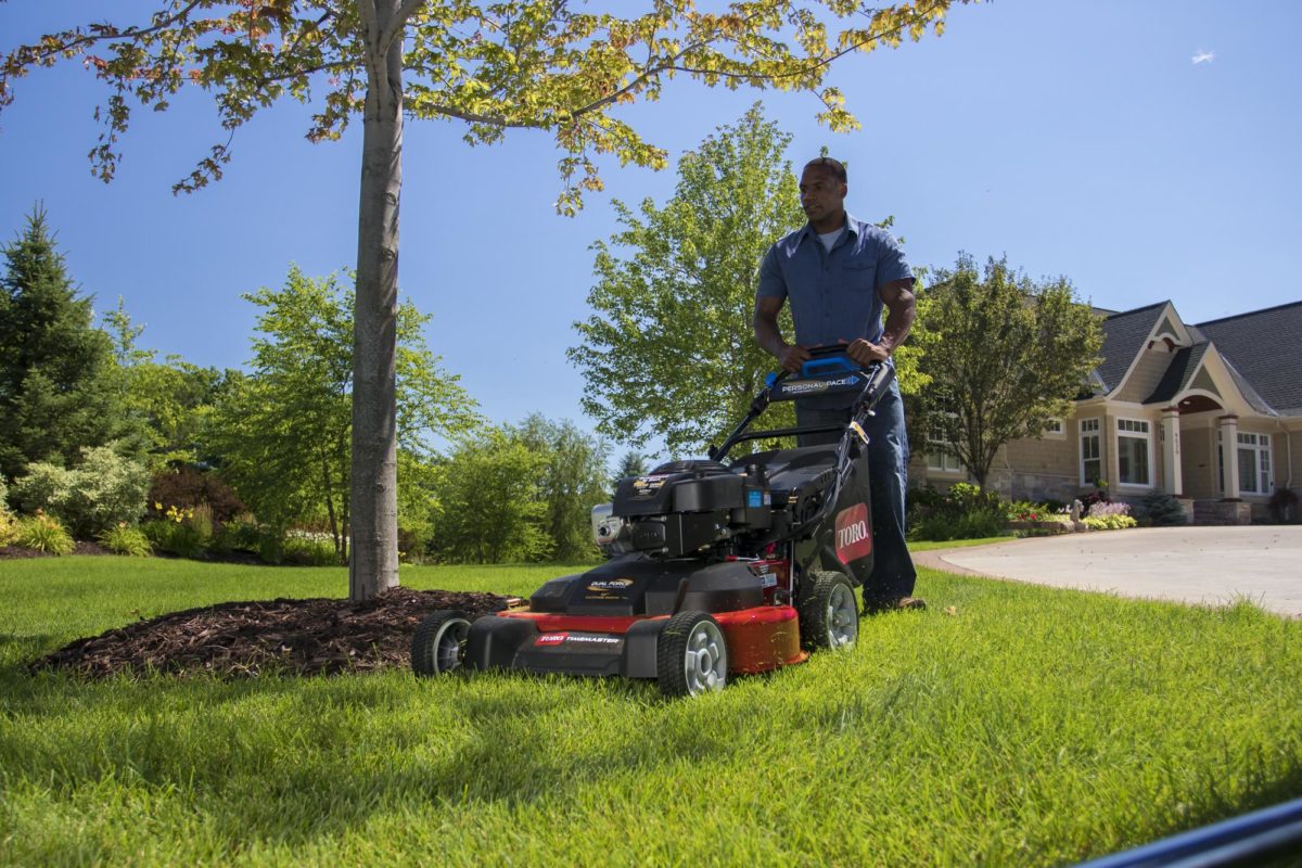 Toro Personal Pace TimeMaster Lawn Mower (76 cm) - Parkland - Lawn ...