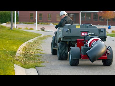 Toro® Pro Force® Debris Blower